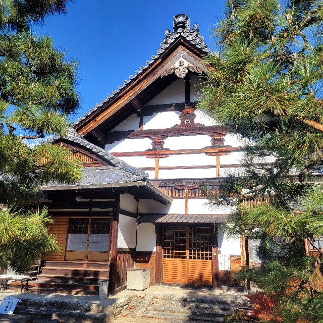 f:id:atoriatoriatori:20231223164716j:image