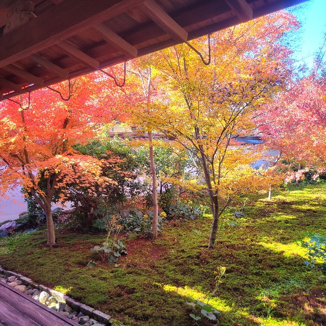 f:id:atoriatoriatori:20231224112946j:image