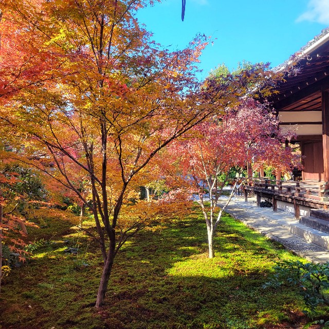f:id:atoriatoriatori:20231224222106j:image