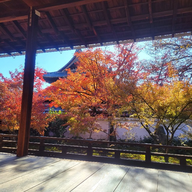 f:id:atoriatoriatori:20231224222132j:image