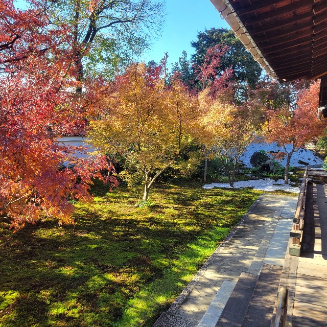 f:id:atoriatoriatori:20231224222150j:image