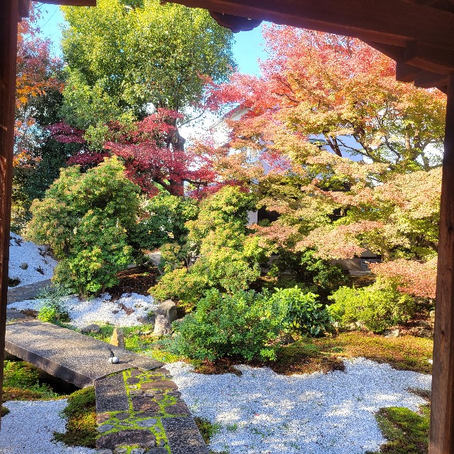 f:id:atoriatoriatori:20231224222201j:image