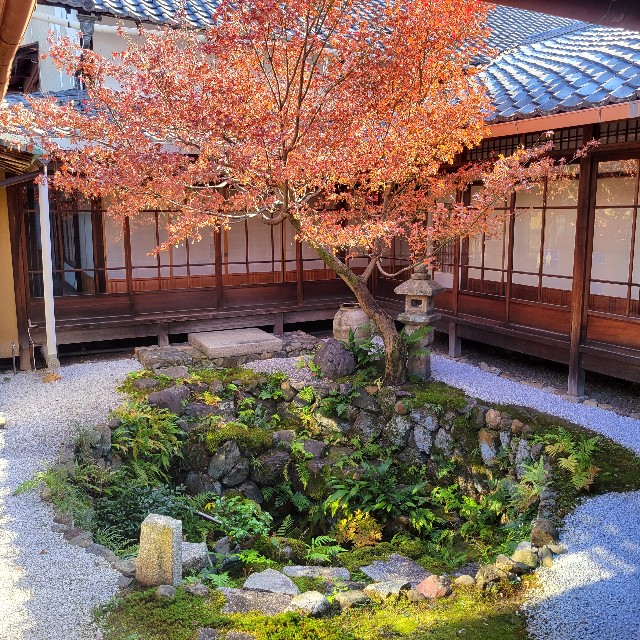 f:id:atoriatoriatori:20231224223420j:image