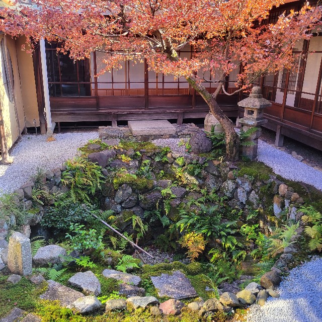 f:id:atoriatoriatori:20231224223430j:image
