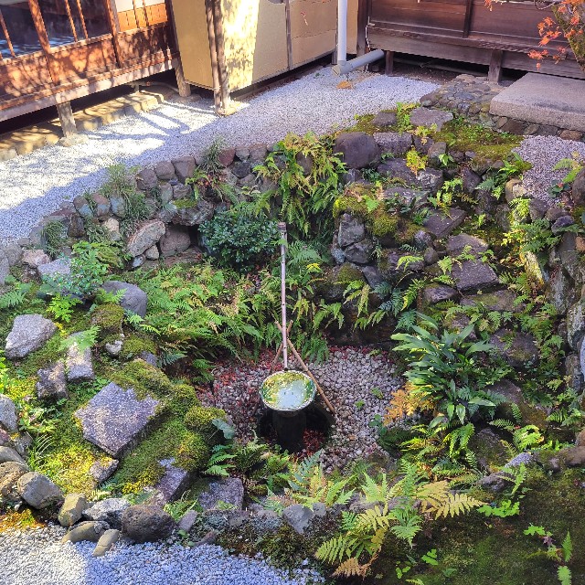 f:id:atoriatoriatori:20231224223445j:image