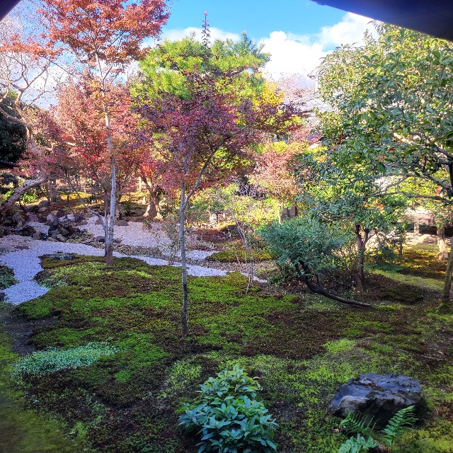 f:id:atoriatoriatori:20231225091615j:image