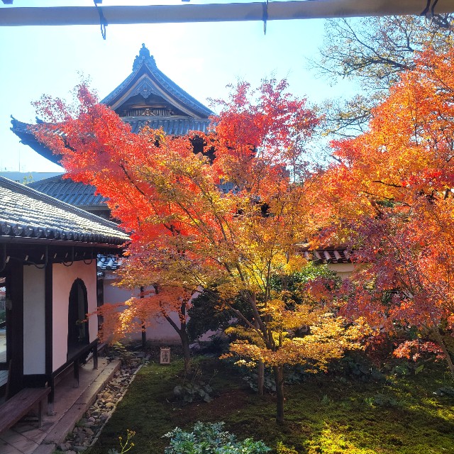 f:id:atoriatoriatori:20231225092027j:image