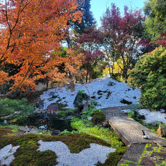 f:id:atoriatoriatori:20231225092517j:image