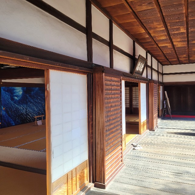 f:id:atoriatoriatori:20231225100917j:image