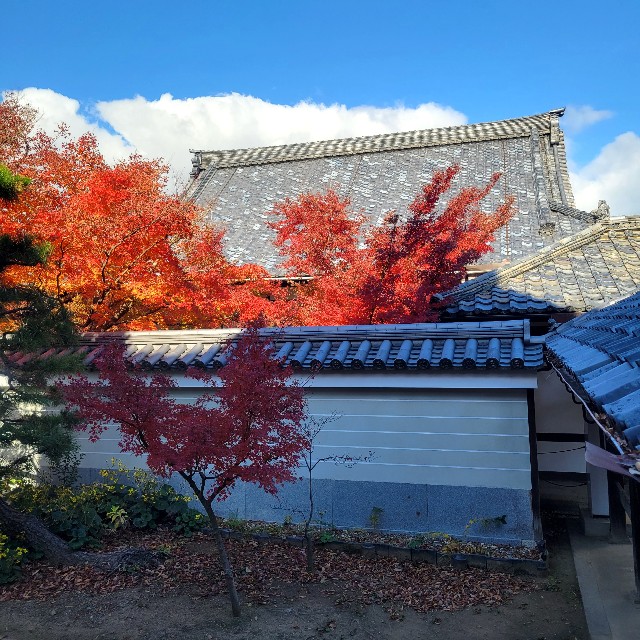 f:id:atoriatoriatori:20231225101748j:image