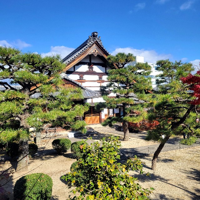 f:id:atoriatoriatori:20231225101819j:image