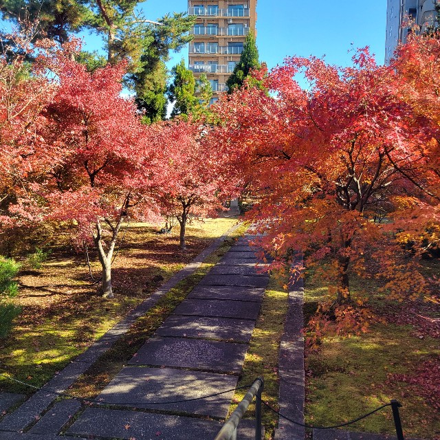f:id:atoriatoriatori:20231225101826j:image