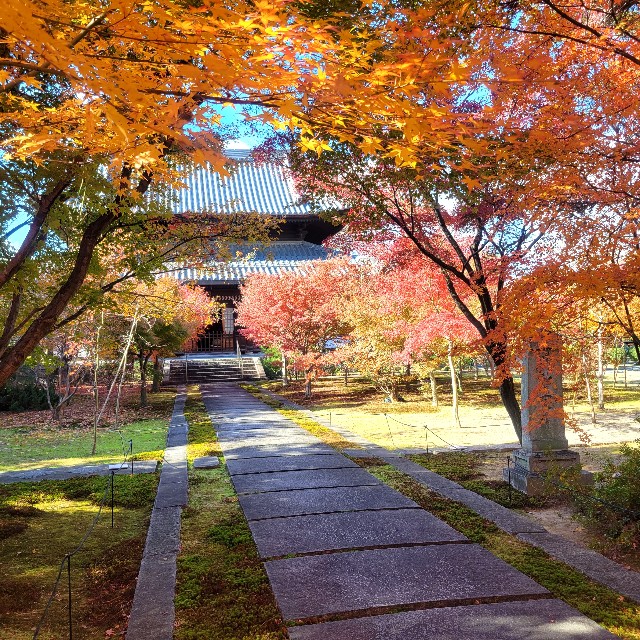 f:id:atoriatoriatori:20231225102339j:image