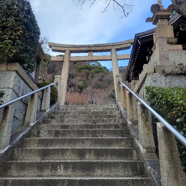 f:id:atoriatoriatori:20240104095850j:image f:id:atoriatoriatori:20240104095850j:image