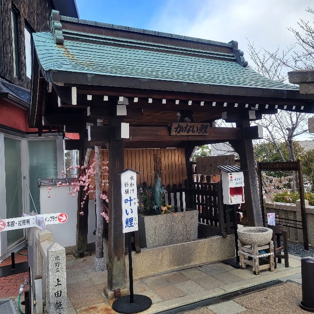 f:id:atoriatoriatori:20240104095954j:image f:id:atoriatoriatori:20240104095954j:image