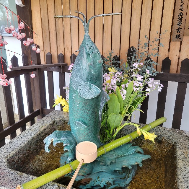 f:id:atoriatoriatori:20240104100002j:image f:id:atoriatoriatori:20240104100002j:image