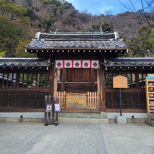 f:id:atoriatoriatori:20240104100854j:image f:id:atoriatoriatori:20240104100854j:image