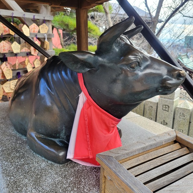 f:id:atoriatoriatori:20240104103607j:image f:id:atoriatoriatori:20240104103607j:image