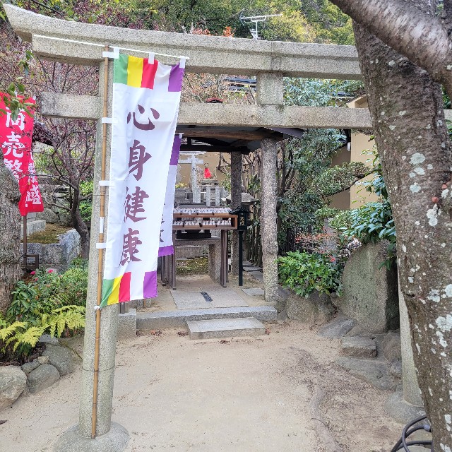 f:id:atoriatoriatori:20240104104250j:image f:id:atoriatoriatori:20240104104250j:image