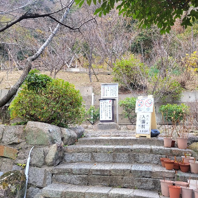 f:id:atoriatoriatori:20240104104340j:image f:id:atoriatoriatori:20240104104340j:image