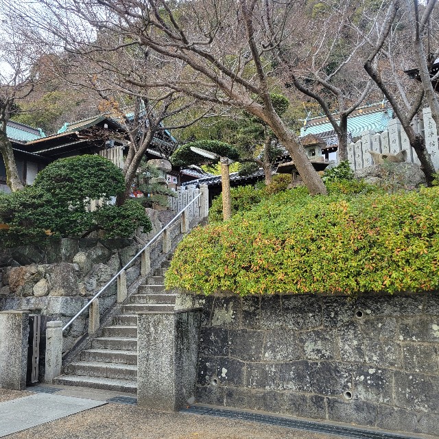f:id:atoriatoriatori:20240104121239j:image f:id:atoriatoriatori:20240104121239j:image