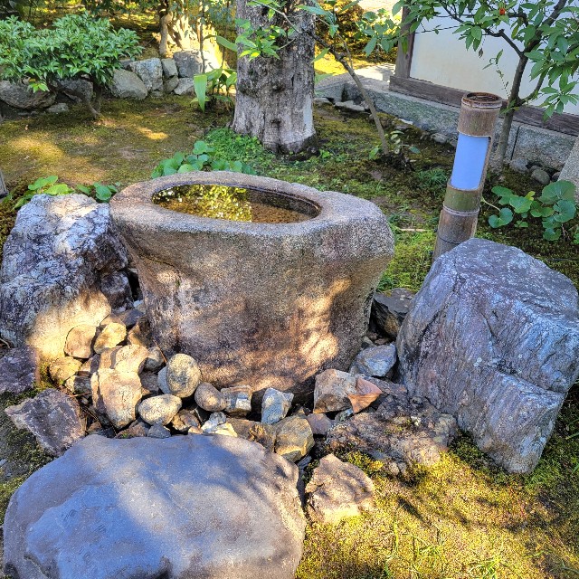 f:id:atoriatoriatori:20240113170856j:image