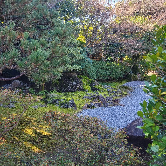 f:id:atoriatoriatori:20240113202012j:image