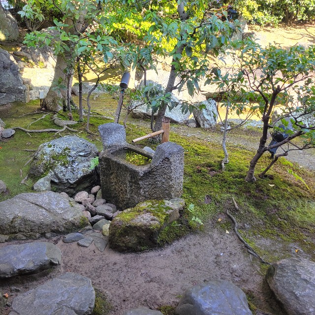 f:id:atoriatoriatori:20240113204336j:image