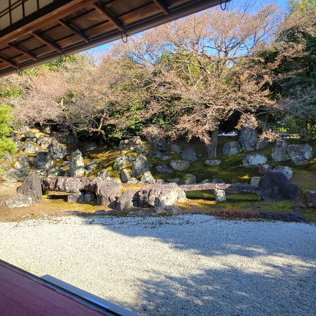 f:id:atoriatoriatori:20240113204357j:image