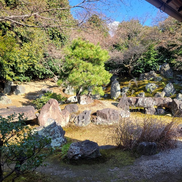 f:id:atoriatoriatori:20240113204405j:image