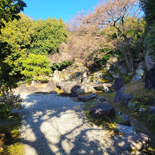 f:id:atoriatoriatori:20240114112114j:image