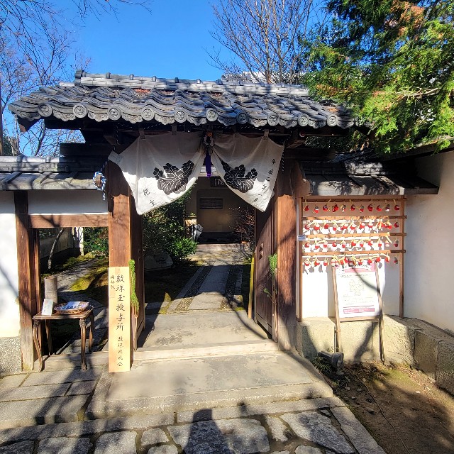 f:id:atoriatoriatori:20240115093045j:image