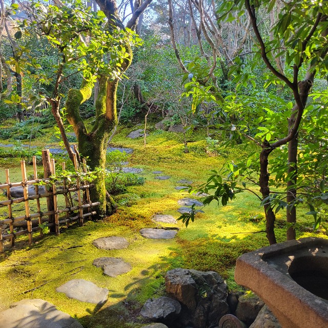 f:id:atoriatoriatori:20240115093150j:image