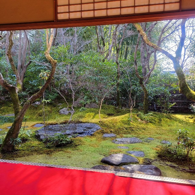 f:id:atoriatoriatori:20240115093508j:image