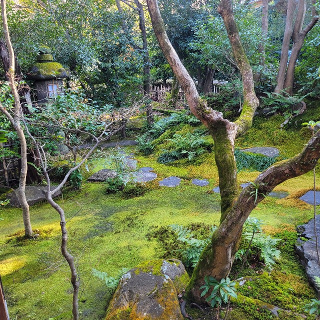 f:id:atoriatoriatori:20240115093516j:image