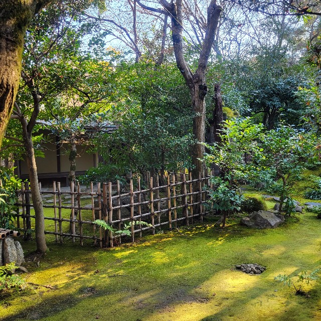 f:id:atoriatoriatori:20240115093524j:image