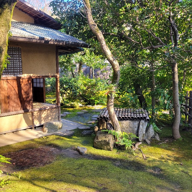 f:id:atoriatoriatori:20240115094053j:image