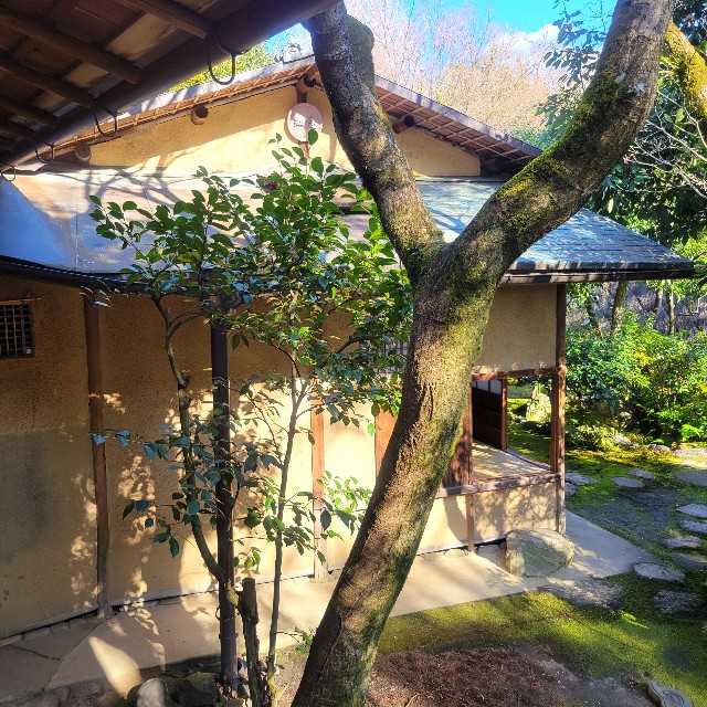 f:id:atoriatoriatori:20240115094100j:image