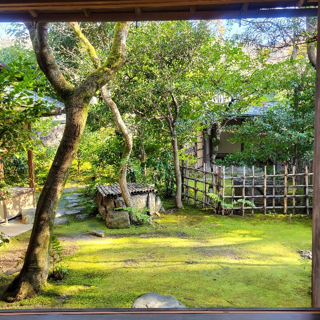 f:id:atoriatoriatori:20240115094459j:image