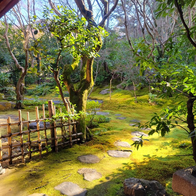 f:id:atoriatoriatori:20240115094519j:image