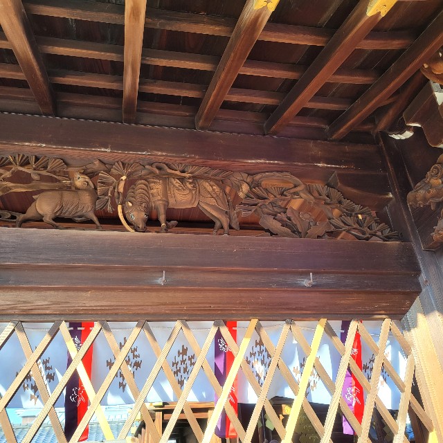 f:id:atoriatoriatori:20240116155152j:image