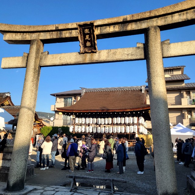 f:id:atoriatoriatori:20240116161721j:image