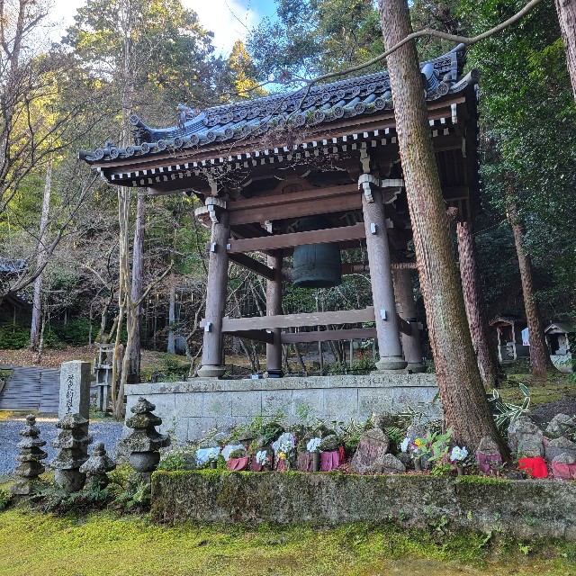 f:id:atoriatoriatori:20240118083733j:image f:id:atoriatoriatori:20240118083733j:image