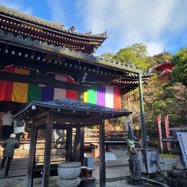 f:id:atoriatoriatori:20240118084647j:image f:id:atoriatoriatori:20240118084647j:image