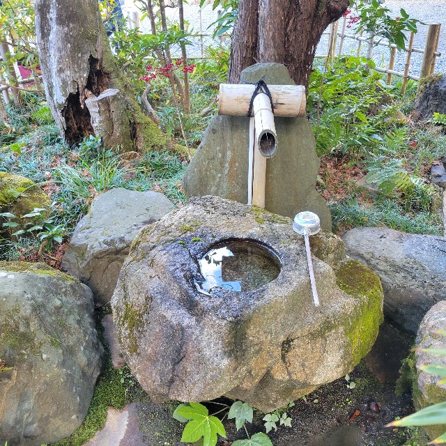 f:id:atoriatoriatori:20240118084654j:image f:id:atoriatoriatori:20240118084654j:image