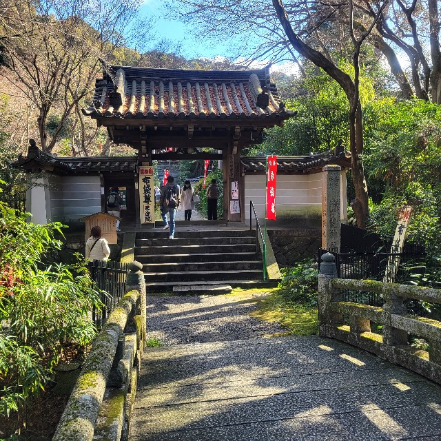 f:id:atoriatoriatori:20240118104009j:image f:id:atoriatoriatori:20240118104009j:image