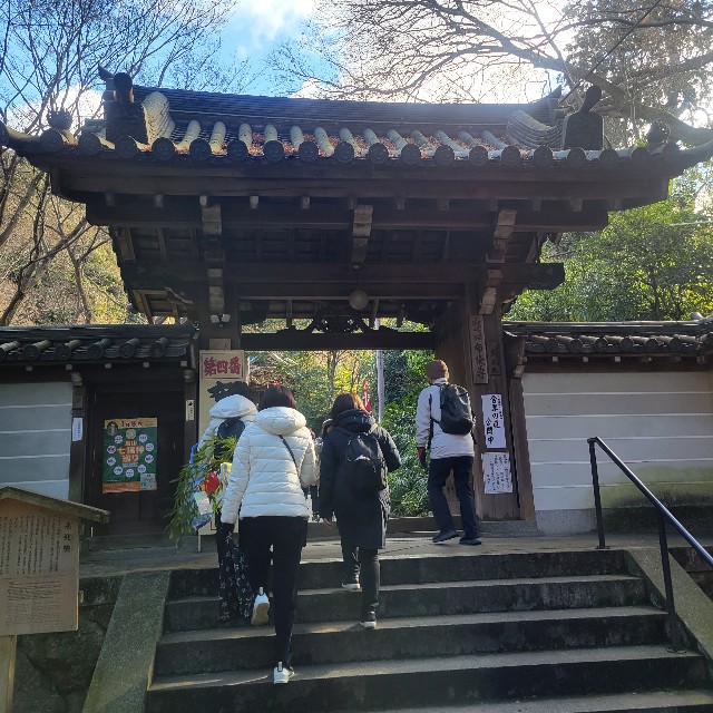 f:id:atoriatoriatori:20240118104016j:image f:id:atoriatoriatori:20240118104016j:image