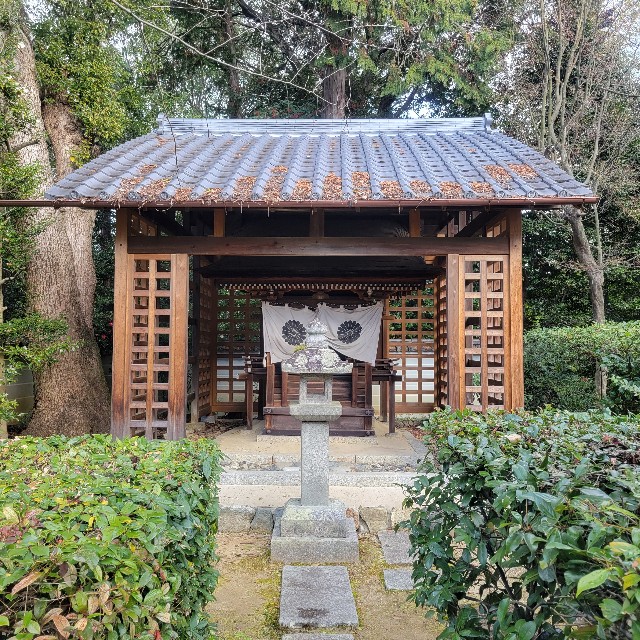 f:id:atoriatoriatori:20240118125831j:image f:id:atoriatoriatori:20240118125831j:image