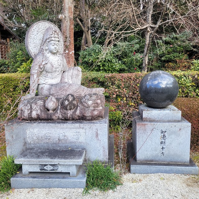 f:id:atoriatoriatori:20240118125840j:image f:id:atoriatoriatori:20240118125840j:image