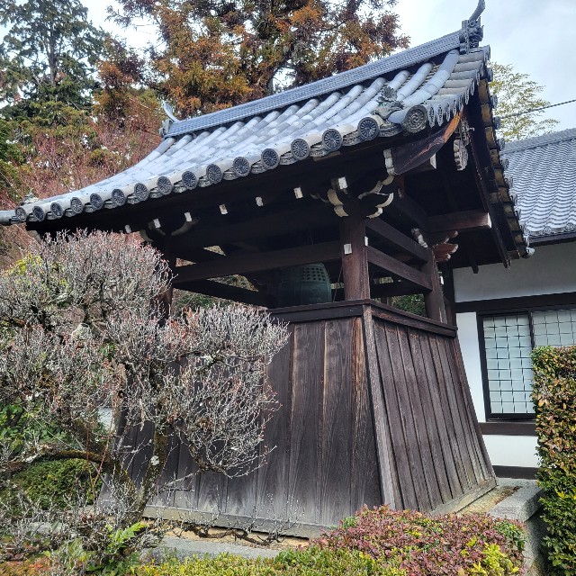 f:id:atoriatoriatori:20240118125848j:image f:id:atoriatoriatori:20240118125848j:image